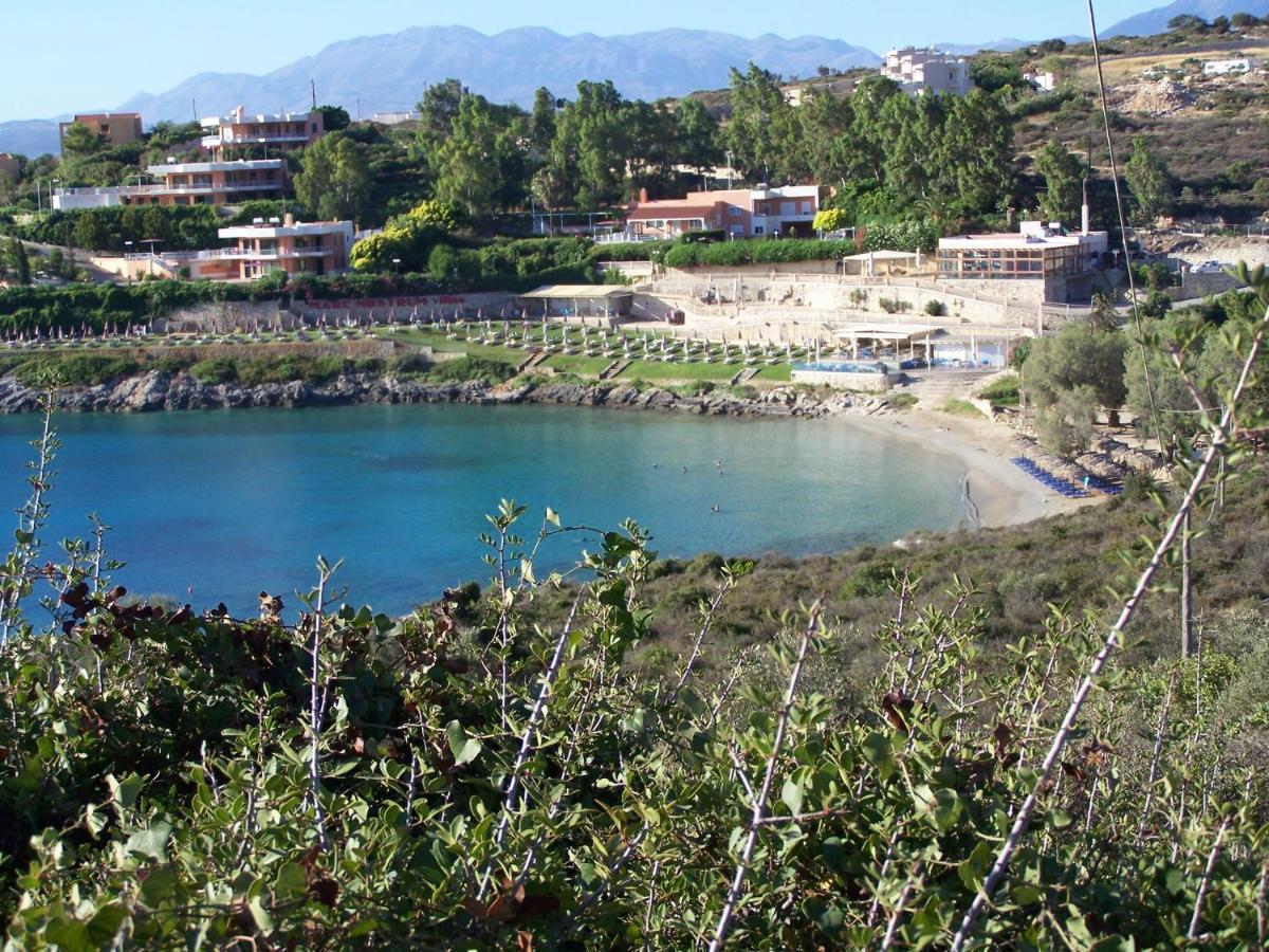 Manolo S Olive Farm, Apartment With Seaview Chania  Buitenkant foto