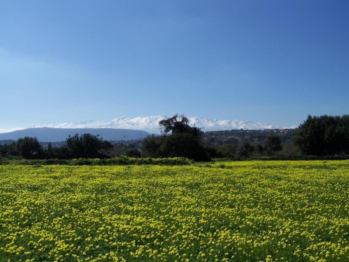 Manolo S Olive Farm, Apartment With Seaview Chania  Buitenkant foto