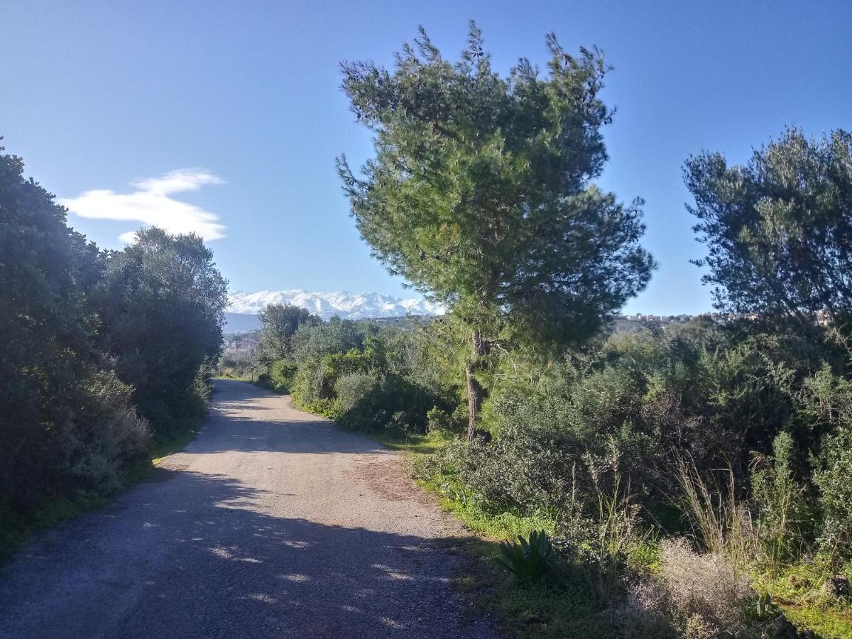 Manolo S Olive Farm, Apartment With Seaview Chania  Buitenkant foto