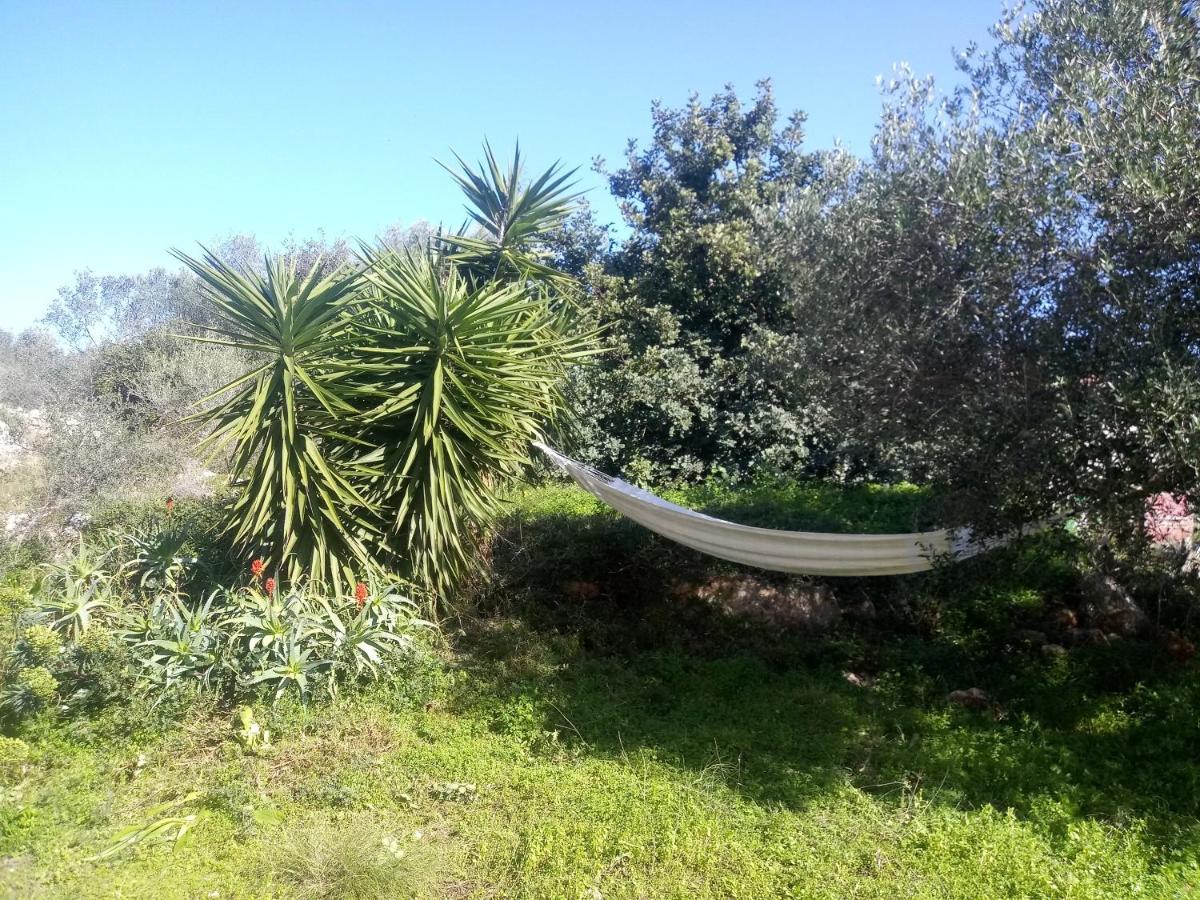 Manolo S Olive Farm, Apartment With Seaview Chania  Buitenkant foto