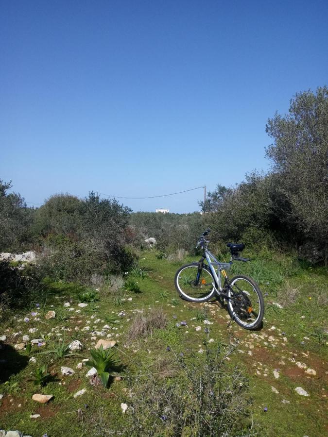 Manolo S Olive Farm, Apartment With Seaview Chania  Buitenkant foto