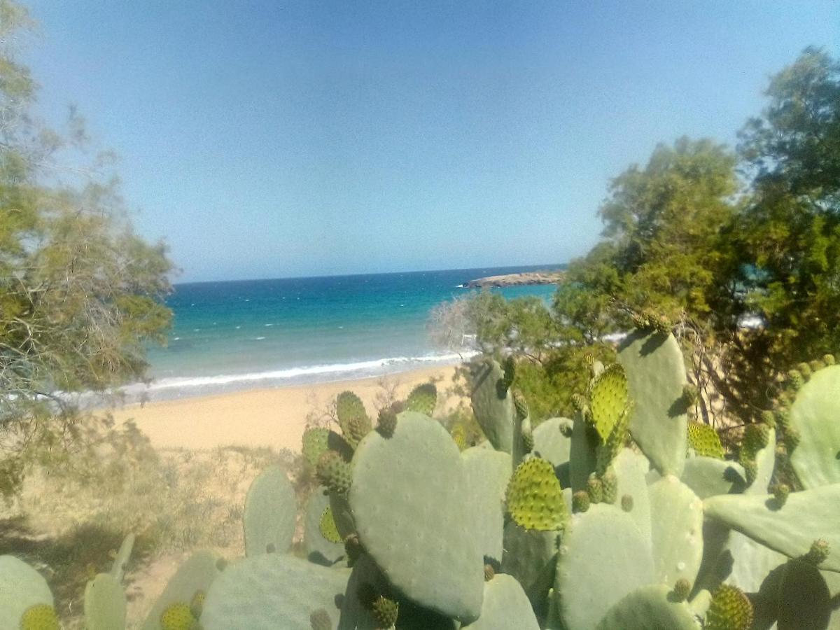 Manolo S Olive Farm, Apartment With Seaview Chania  Buitenkant foto
