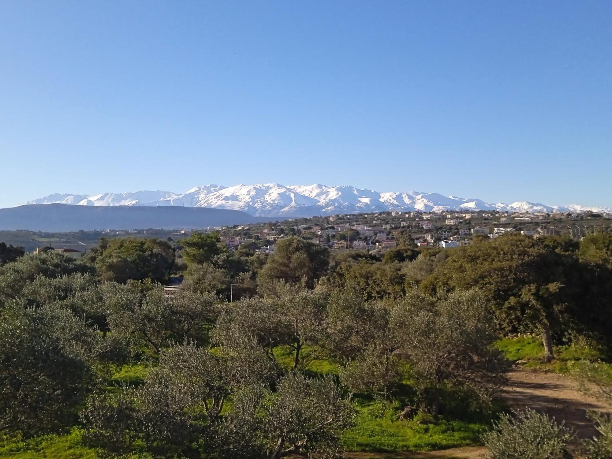 Manolo S Olive Farm, Apartment With Seaview Chania  Buitenkant foto
